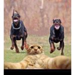 Profile Picture of Nelson Toledo (@nelsontoledo1969) on Instagram