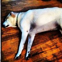 Profile Picture of Jon Buscher (@jonbuscher) on Pinterest