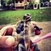 Profile Picture of Scott Field (@scott.field.7140) on Facebook