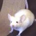 Profile Picture of Thomas Rezasa (@thomas.rezasa) on Facebook