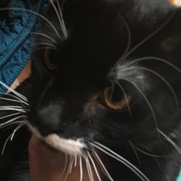 Profile Picture of Phoebe Fink (@phoebe_fink) on Poshmark