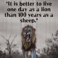 Profile Picture of Jason Parenteau (@jason-parenteau-2) on Quora