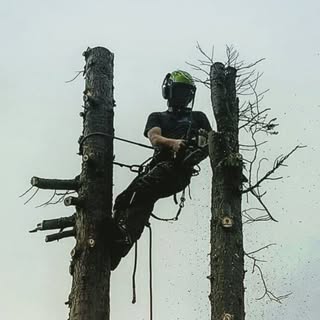 Profile Picture of Ben Rowlands (@benjaminrowlands) on Instagram