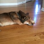 Profile Picture of Brandon Xiong (@hmong_brandon_xiong) on Instagram