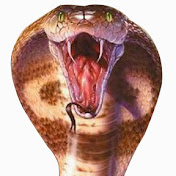 Profile Picture of Brian Aguilera (@brianaguilera4180) on Youtube