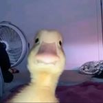 Profile Picture of David Ouellette (@david.ouellette27) on Instagram