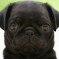 Profile Picture of Adam Bartell (@adam-bartell-2) on Quora
