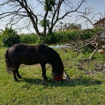 Profile Picture of Lilly Ferguson (@LillyFe85251092) on Twitter