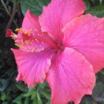 Profile Picture of Dora Foster (@dorafoster_spam) on Instagram