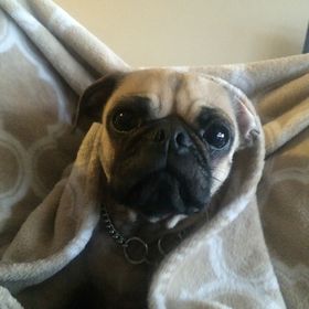 Profile Picture of Jason Martinez (@j_mart99) on Pinterest