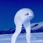 Profile Picture of Alexander Spanos McGill (@aws.mcgill) on Instagram