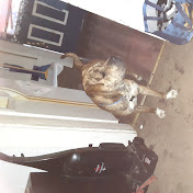 Profile Picture of Amanda Dyer (@amandadyer5283) on Youtube