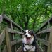 Profile Picture of Darren Barker (@darren.barker.77582) on Facebook