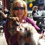 Profile Picture of Sherri Kier Swartz (@swartzsherri) on Instagram