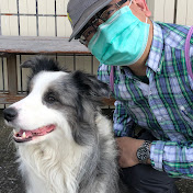 Profile Picture of Calvin Chen (@calvin0219tw) on Youtube