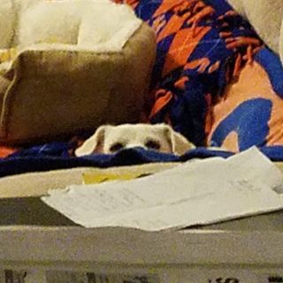 Profile Picture of Mark Lesniak (@totalfa007) on Instagram