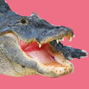 Profile Picture of Grook! 🍉 (@JustAGrook) on Youtube