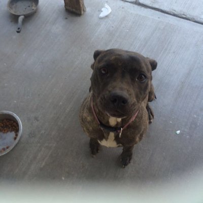 Profile Picture of Christopher Vonholt (@Christo06945315) on Twitter