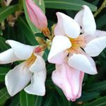 Profile Picture of Joseph Fisher (@josephfisher992) on Instagram