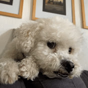 Profile Picture of W. James Meagher (@w.jamesmeagher7895) on Youtube