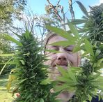 Profile Picture of George Schumacher (@george.schumacher.796) on Facebook