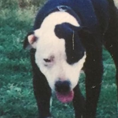 Profile Picture of Joe Culligan (@JPCulligan) on Twitter