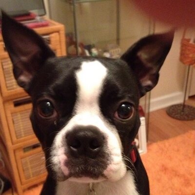 Profile Picture of Robin Cram (@robinp734) on Twitter