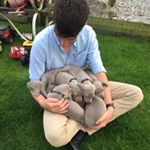 Profile Picture of Name:Thomas (@thomas_sheehann) on Instagram