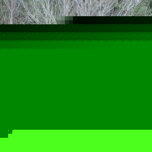 Profile Picture of Wayne Neil (@whiteknight29906) on Myspace