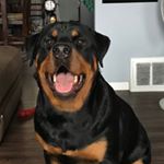 Profile Picture of Chris Herrick (@irishpride0977) on Instagram