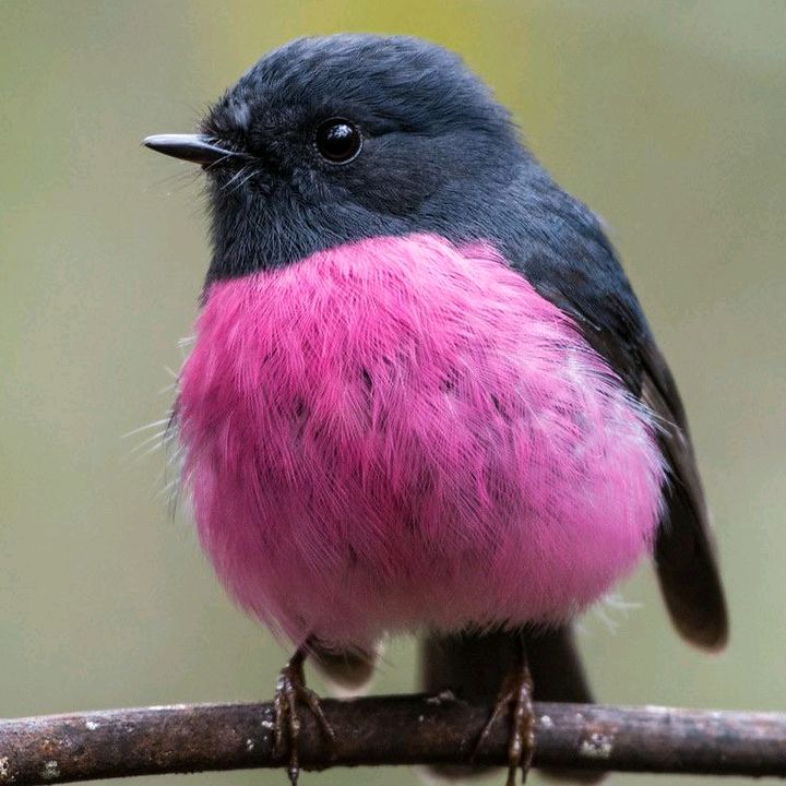Profile Picture of Jason (@jasonfrog) on Tiktok