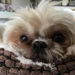 Profile Picture of David Murata (@david.murata) on Facebook