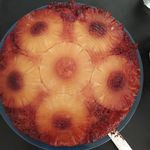 Profile Picture of Aimée Fournier (@afourniersenecal) on Instagram