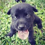 Profile Picture of Calum Scott (@dancingonmyown.nam) on Instagram