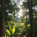 Profile Picture of Hsin Yee Wong (@cindypaolo) on Instagram