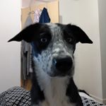 Profile Picture of Michael Watts (@mike.watts001) on Instagram