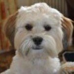 Profile Picture of James Wardell Stanforth (@jameswardellstanforth) on Instagram