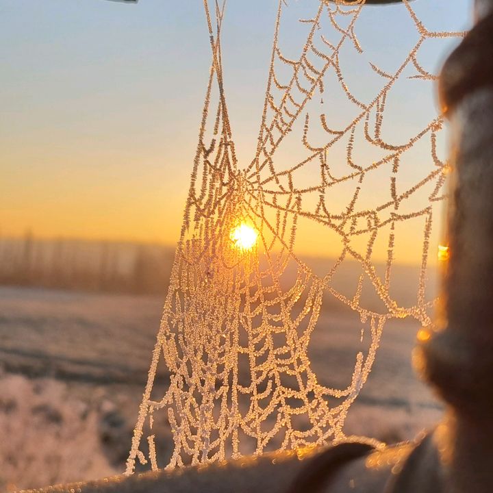 Profile Picture of Paul Lupton (@pauldigilup) on Tiktok