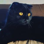 Profile Picture of Silvi (@silvia.david.marta) on Instagram