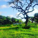 Profile Picture of poppin john (@john.poppin) on Instagram