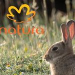 Profile Picture of Francy Brantes Consultora (@natura_fran) on Instagram