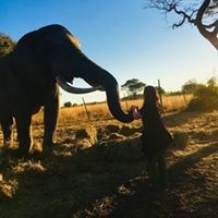 Profile Picture of Lara Sullivan (@lara-sullivan-15) on Quora