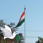 Profile Picture of Kunal Pandya (@Kunal-Pandya) on Facebook