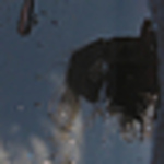 Profile Picture of Rayenari Torres (@eki rayenari) on Flickr