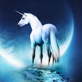 Profile Picture of Peter Pierce (@piercep101) on Pinterest