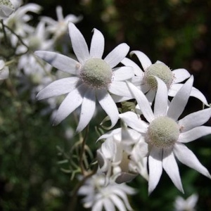 Profile Picture of Alex Grassi (@329023368) on Myspace