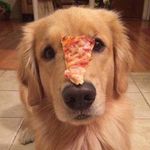 Profile Picture of CC Chung (@c_c_chung_lcc) on Instagram