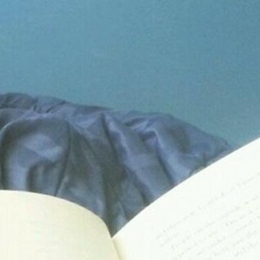 Profile Picture of Kim Thayer (@kimthayer15) on Twitter