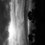 Profile Picture of donald (@lampellardg) on Instagram