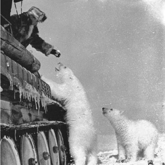 Profile Picture of Joseph Hanson (@josephhanson517) on Poshmark